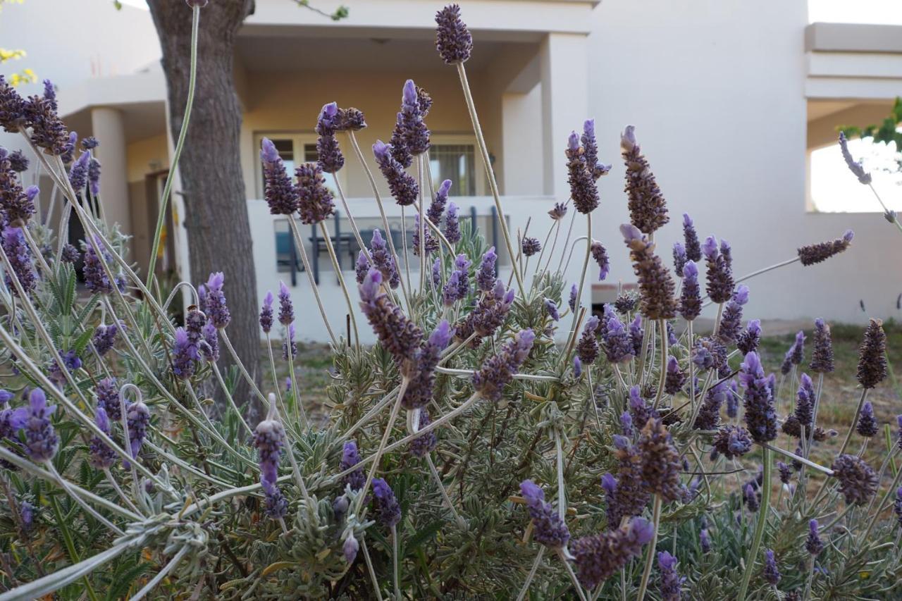 玛利亚Olive House别墅 外观 照片