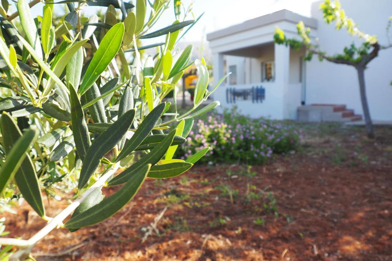 玛利亚Olive House别墅 外观 照片